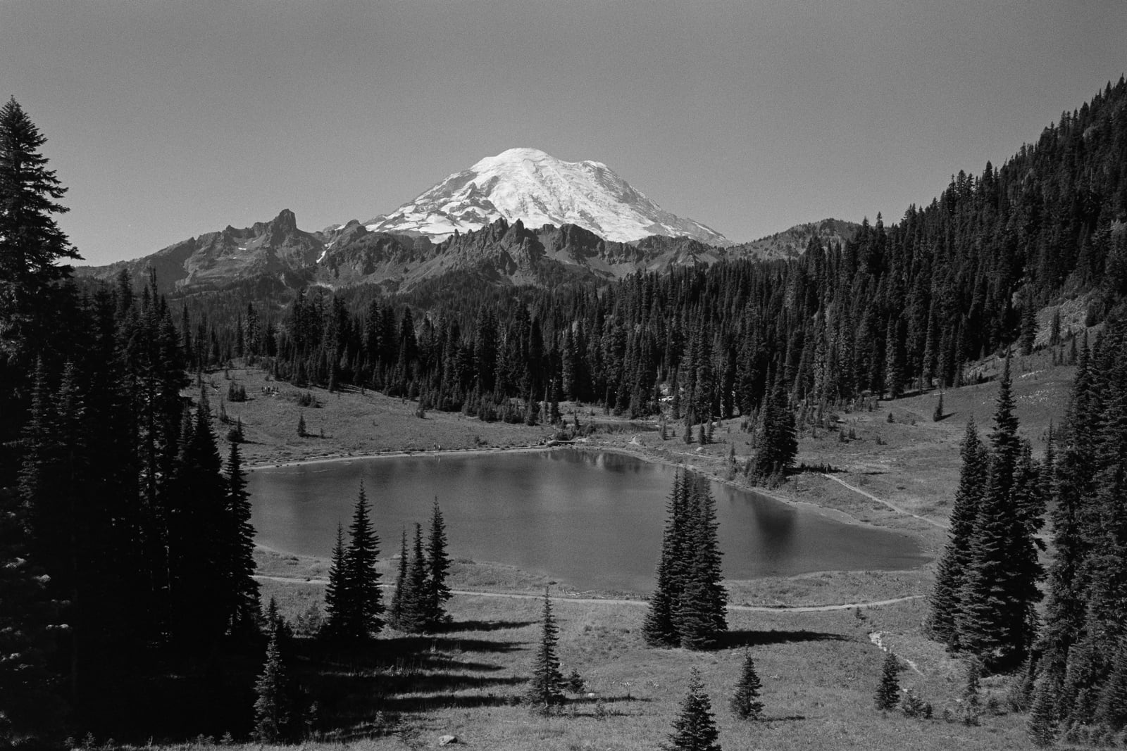 Rainier National Park parking lot and view