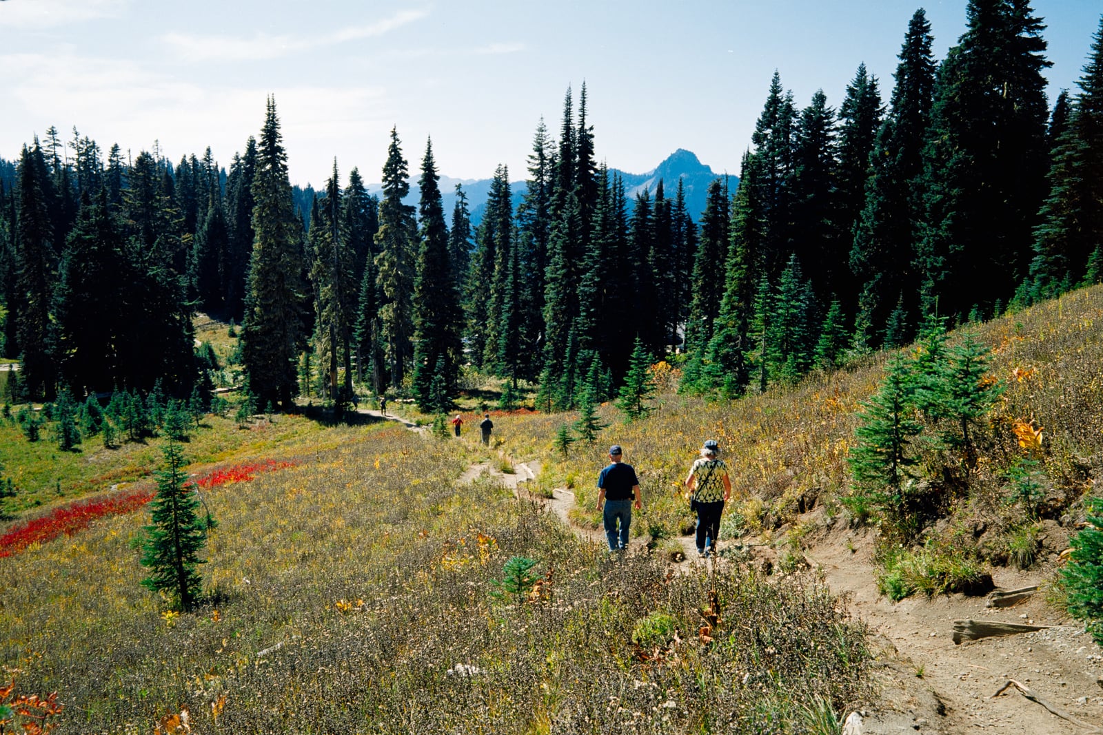 Rainier National Park parking lot and view