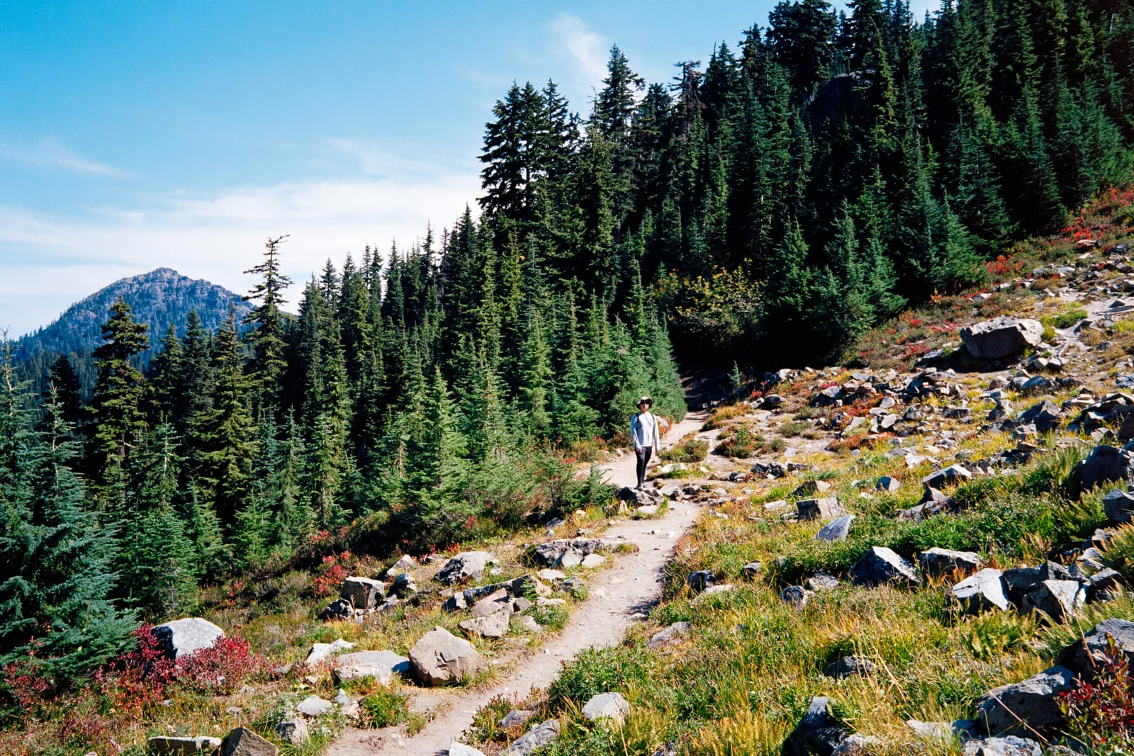Rainier National Park parking lot and view