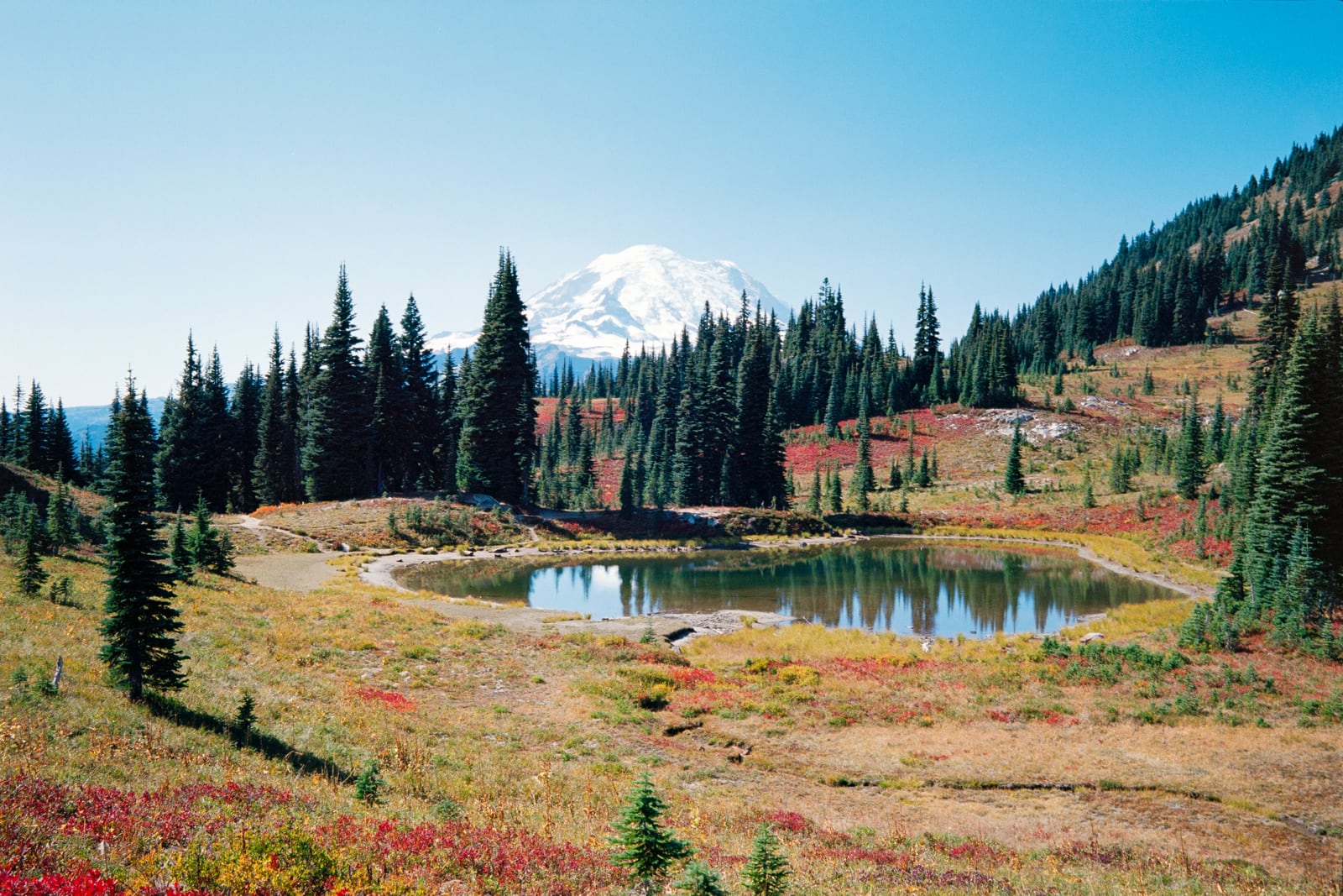 Rainier National Park parking lot and view