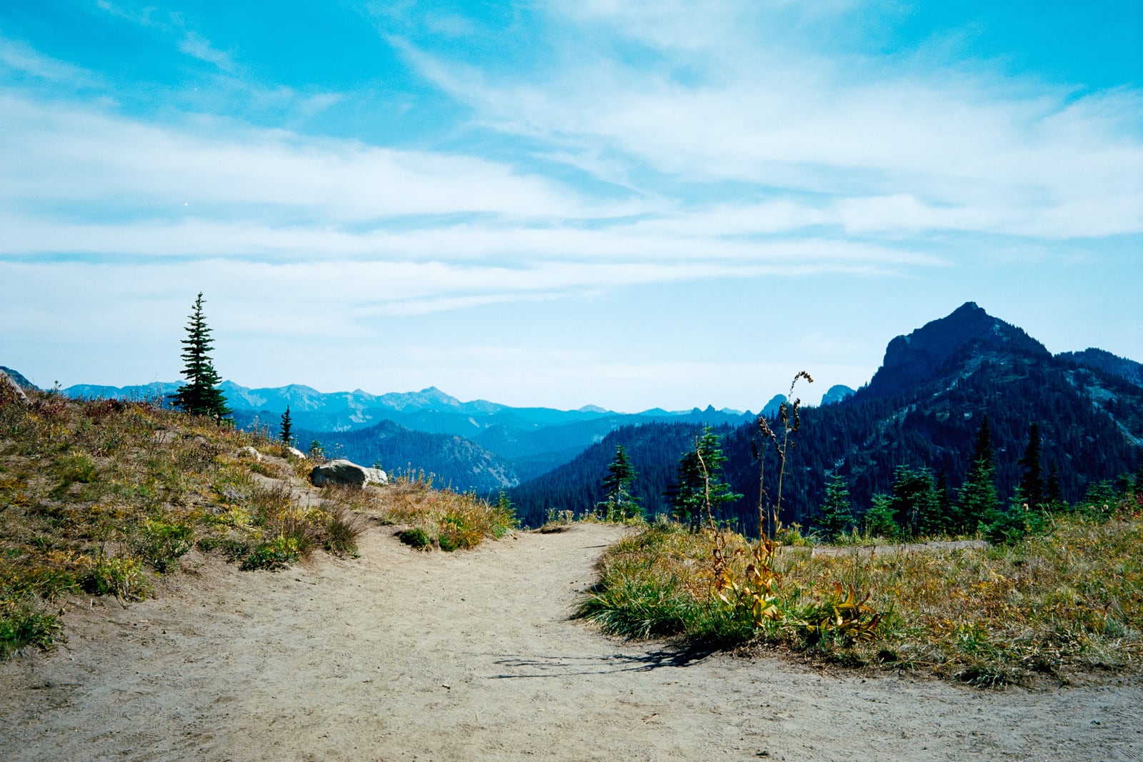 Rainier National Park parking lot and view