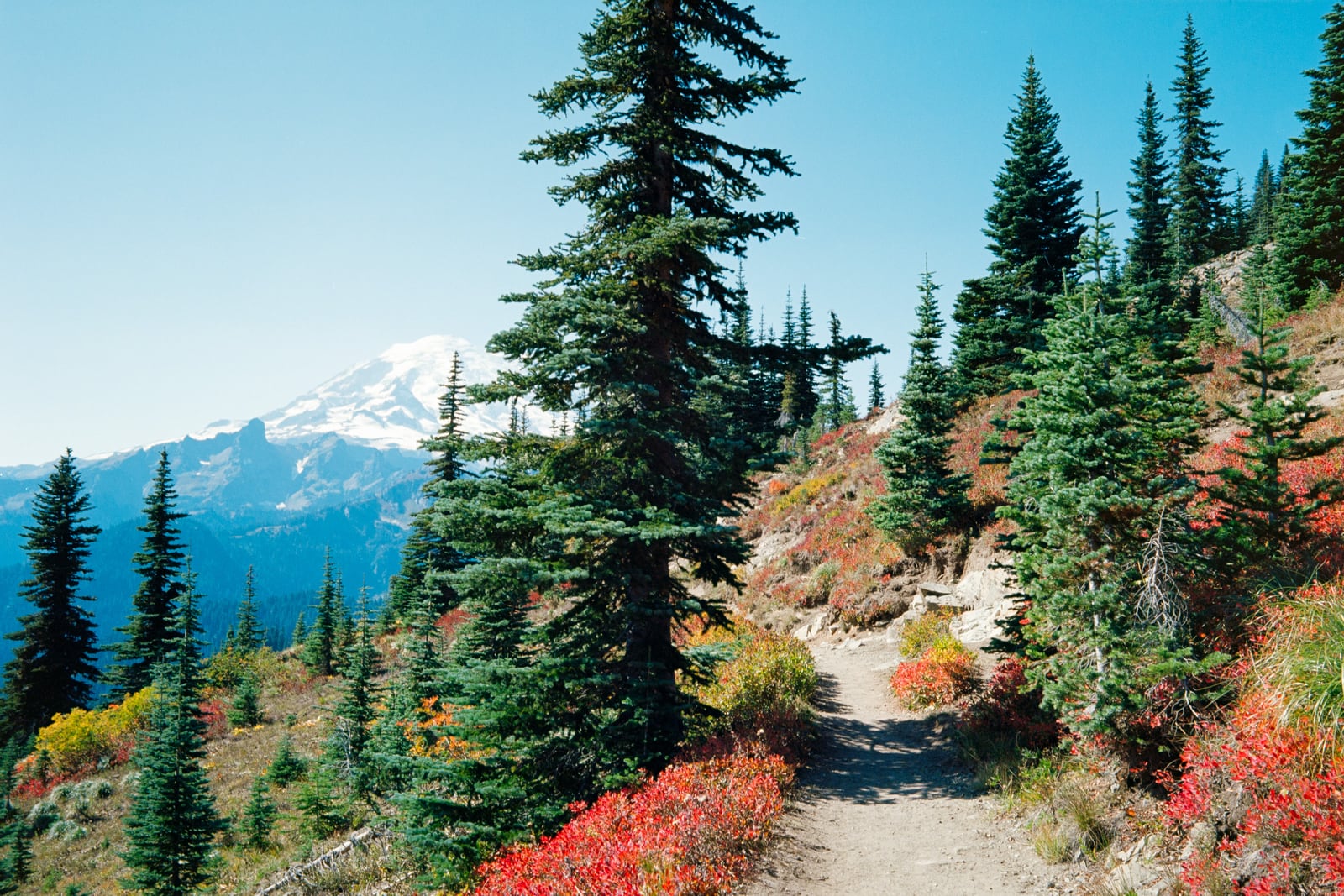 Rainier National Park parking lot and view
