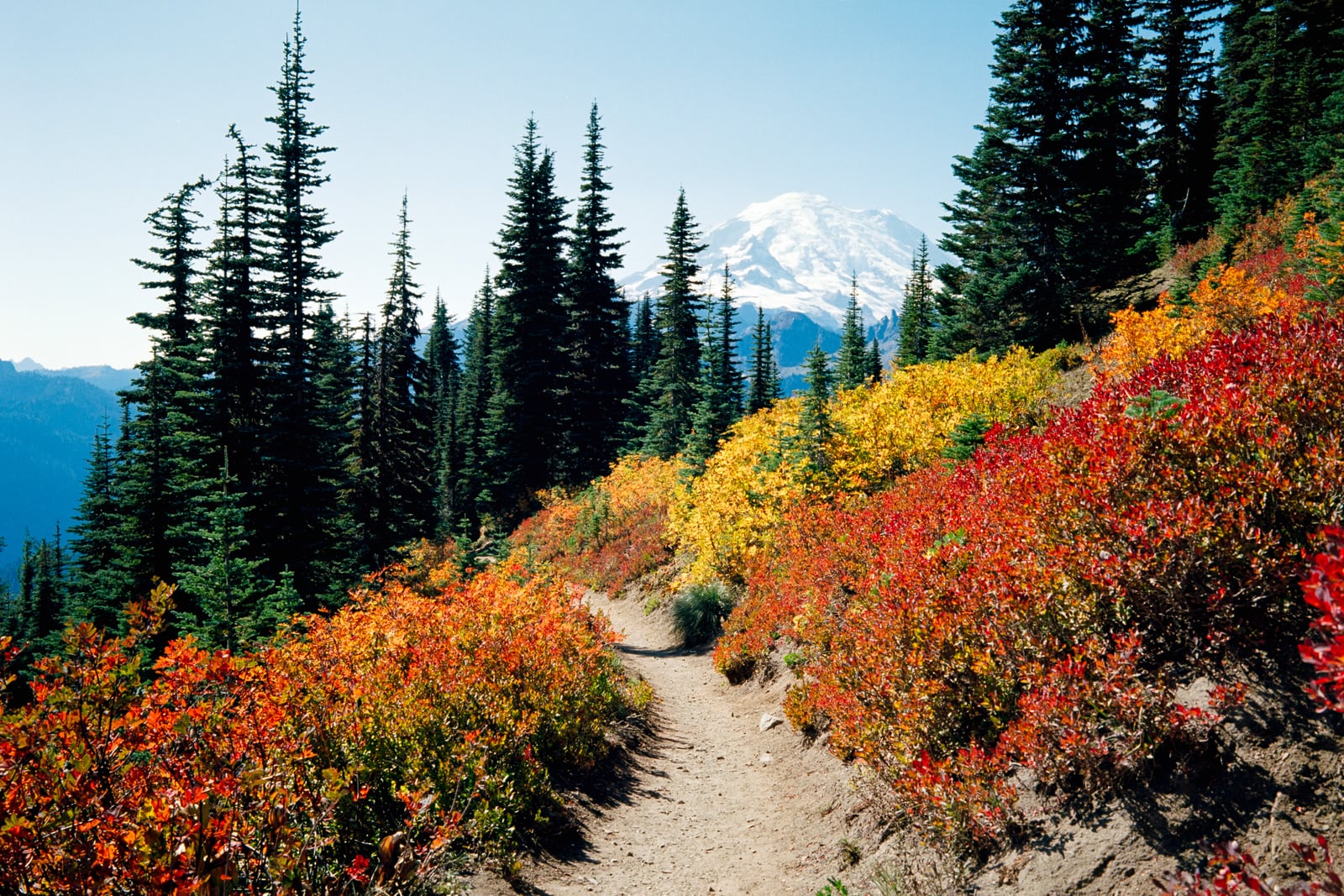 Rainier National Park parking lot and view