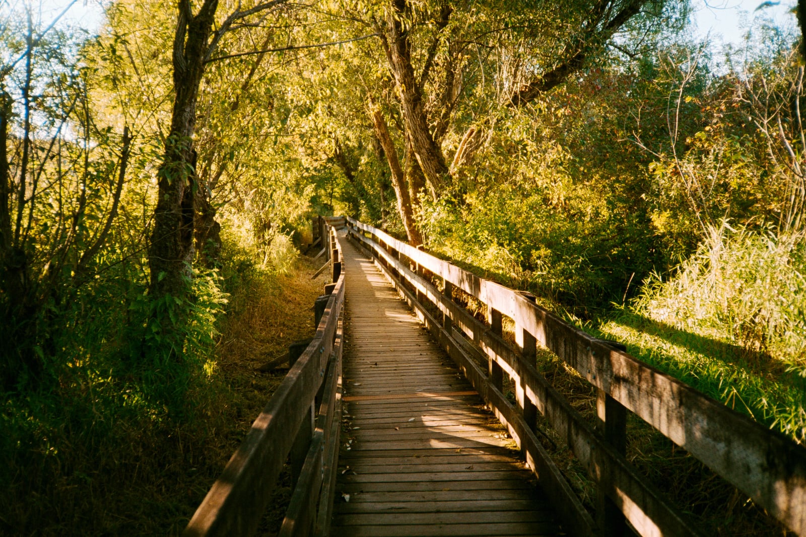 Marymoor Park
