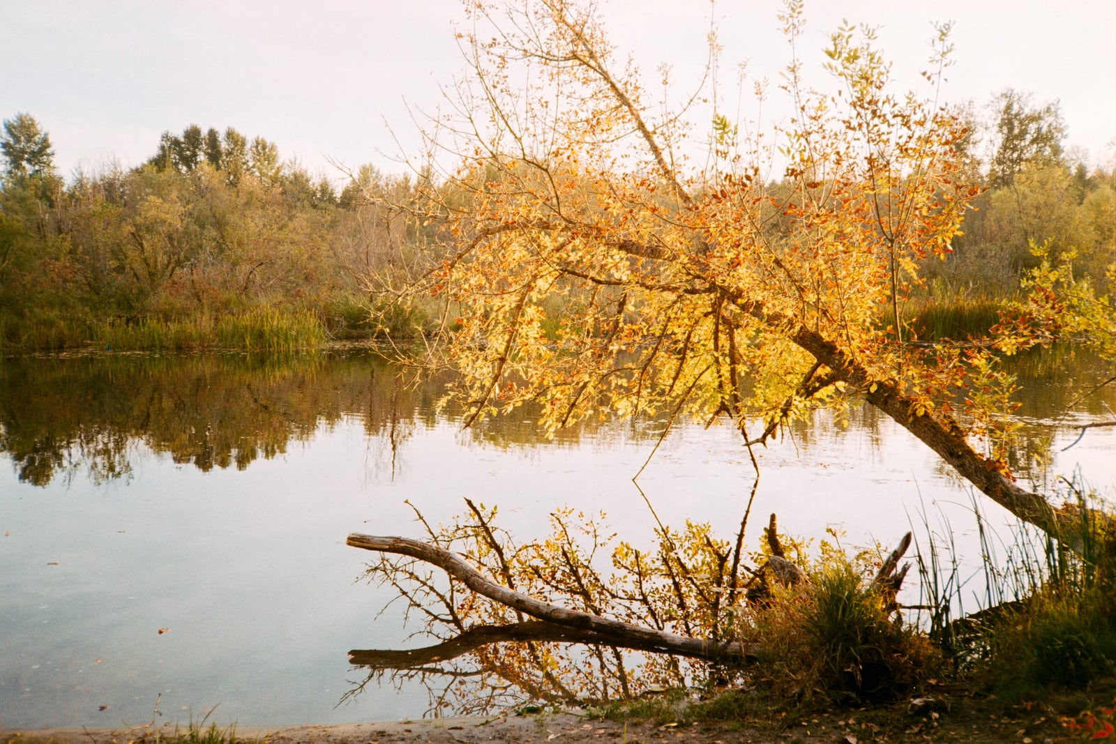 Marymoor Park