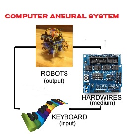 Computer Aneural System