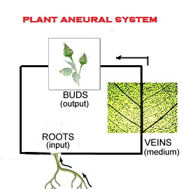 Plant Aneural System