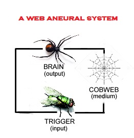 Cobweb Aneural System