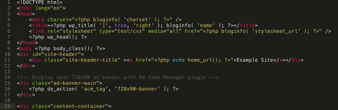 Example of ad tag in use in a theme header template.