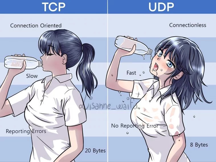 TCP/UDP比较