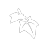 One, Two, Three, Jump!