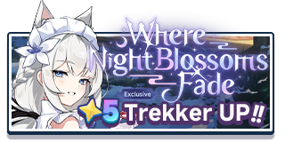 Where Night Blossoms Fade