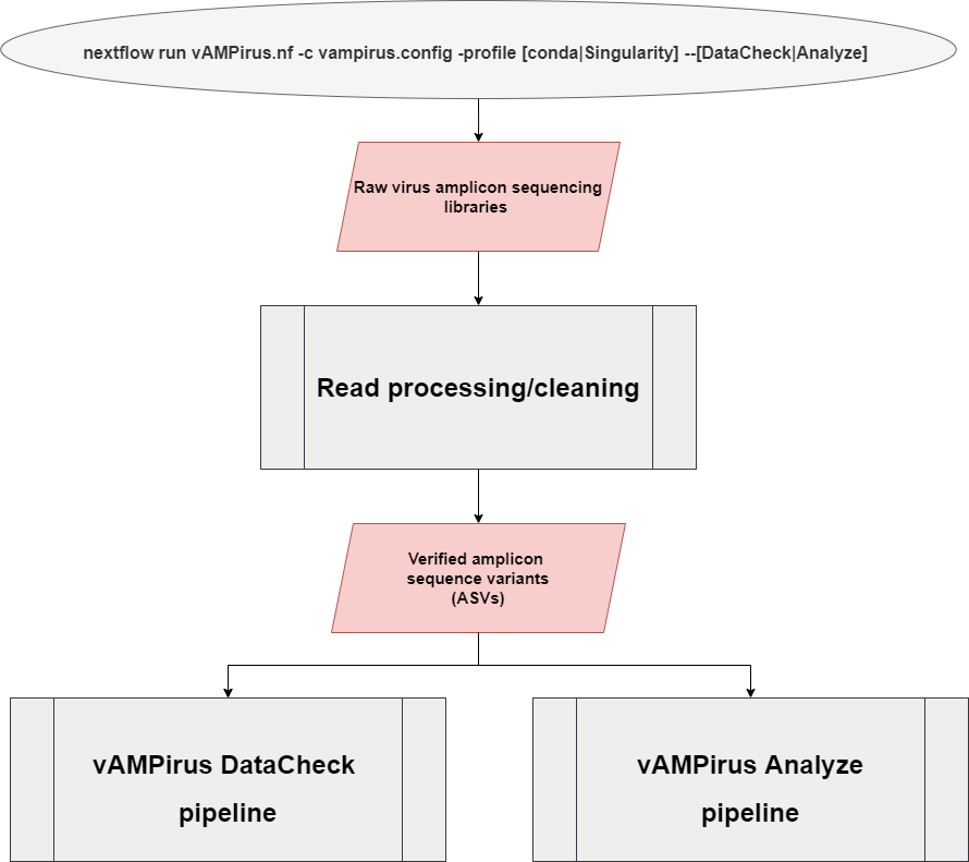 vAMPirus general workflow