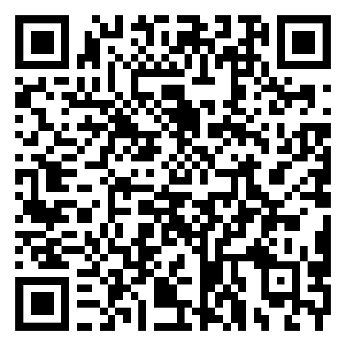 QR код конфига 13