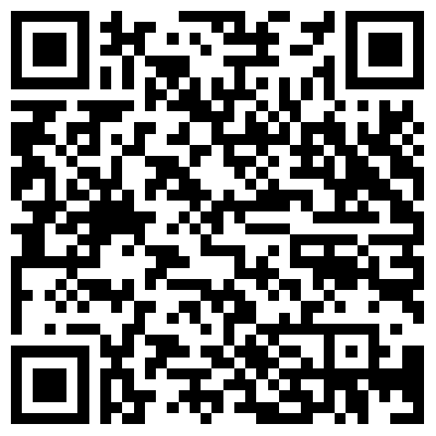 QR код конфига 2