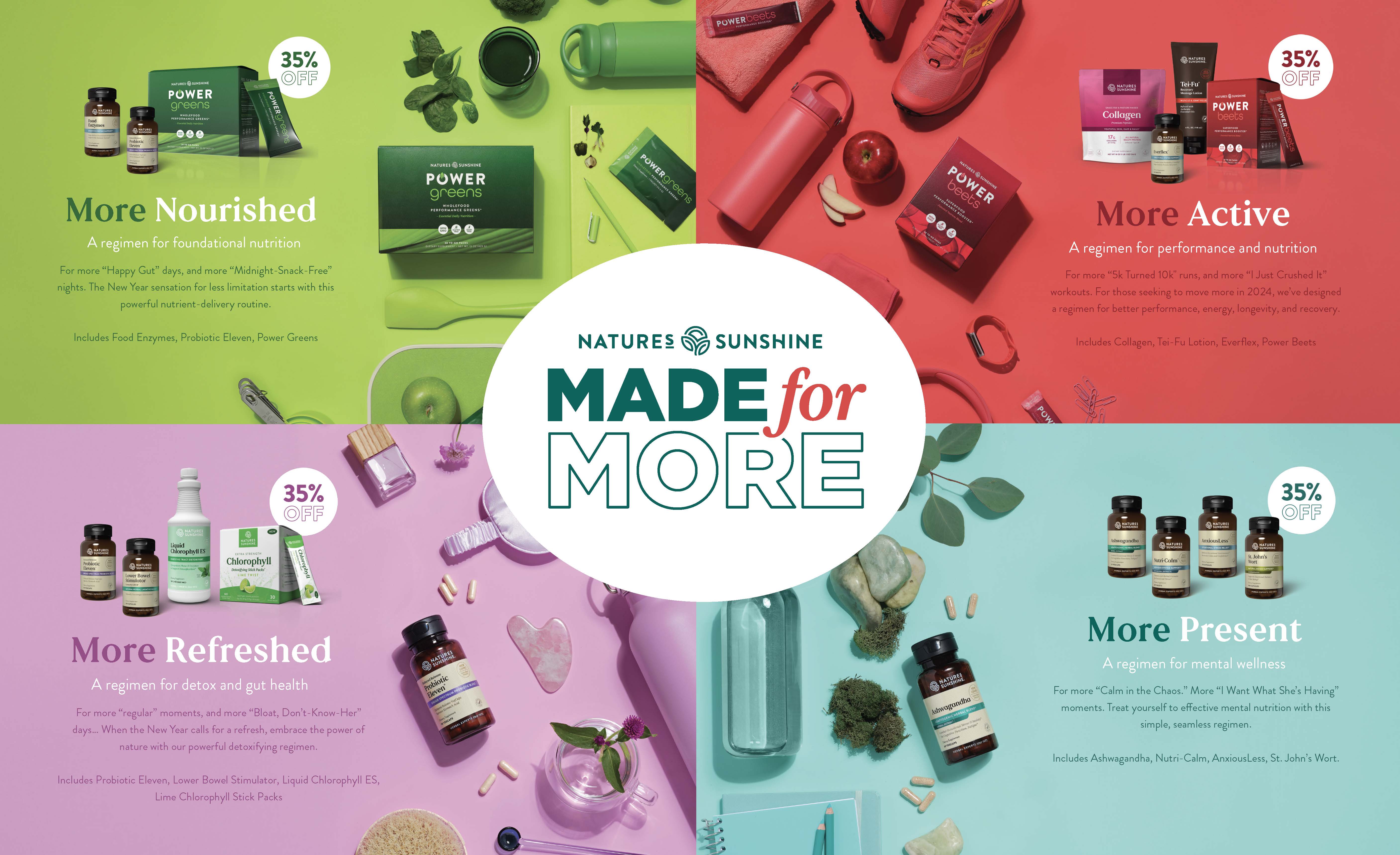Made for More trifold direct mail piece