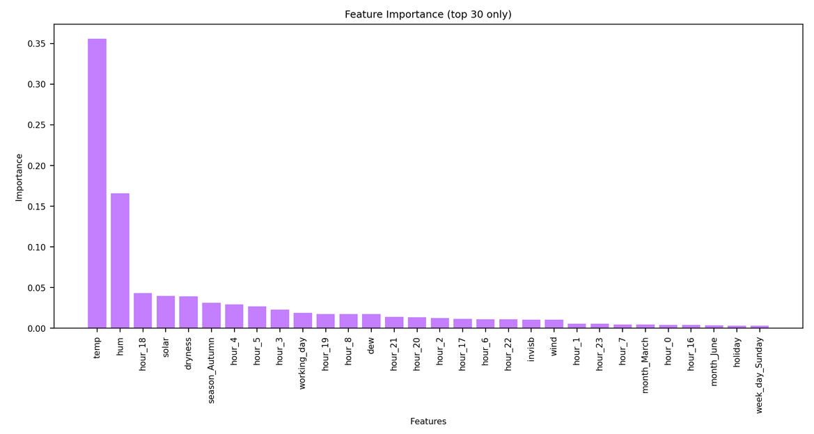 Feature Importance