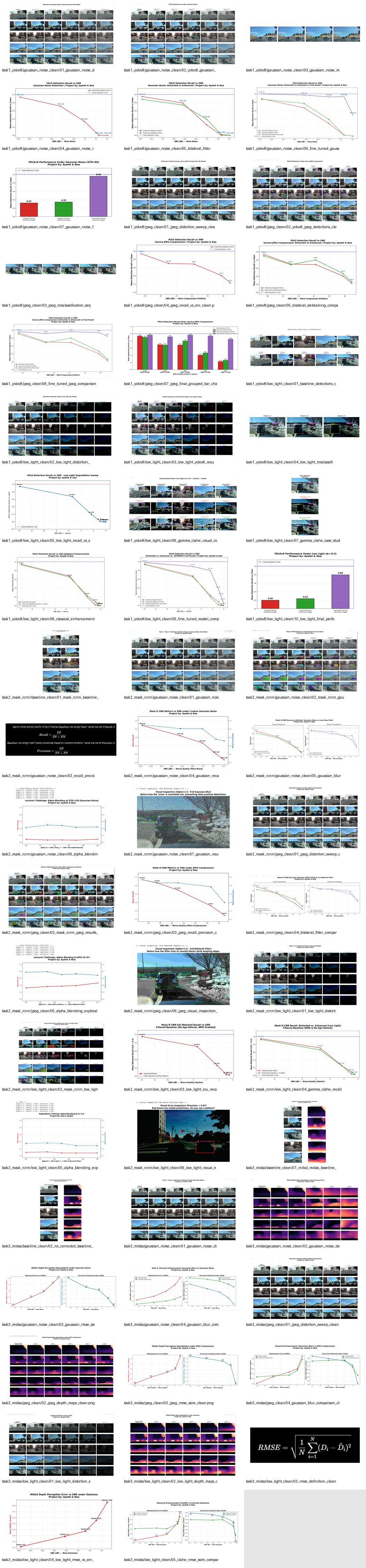 Robust Detection, Instance Segmentation & Depth Estimation for Driving Scenes under Noise, JPEG & Low Light