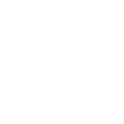 AmbientCG's icon