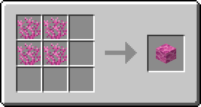 Brain Coral Block recipe