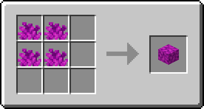 Bubble Coral Block recipe
