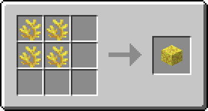Horn Coral Block recipe