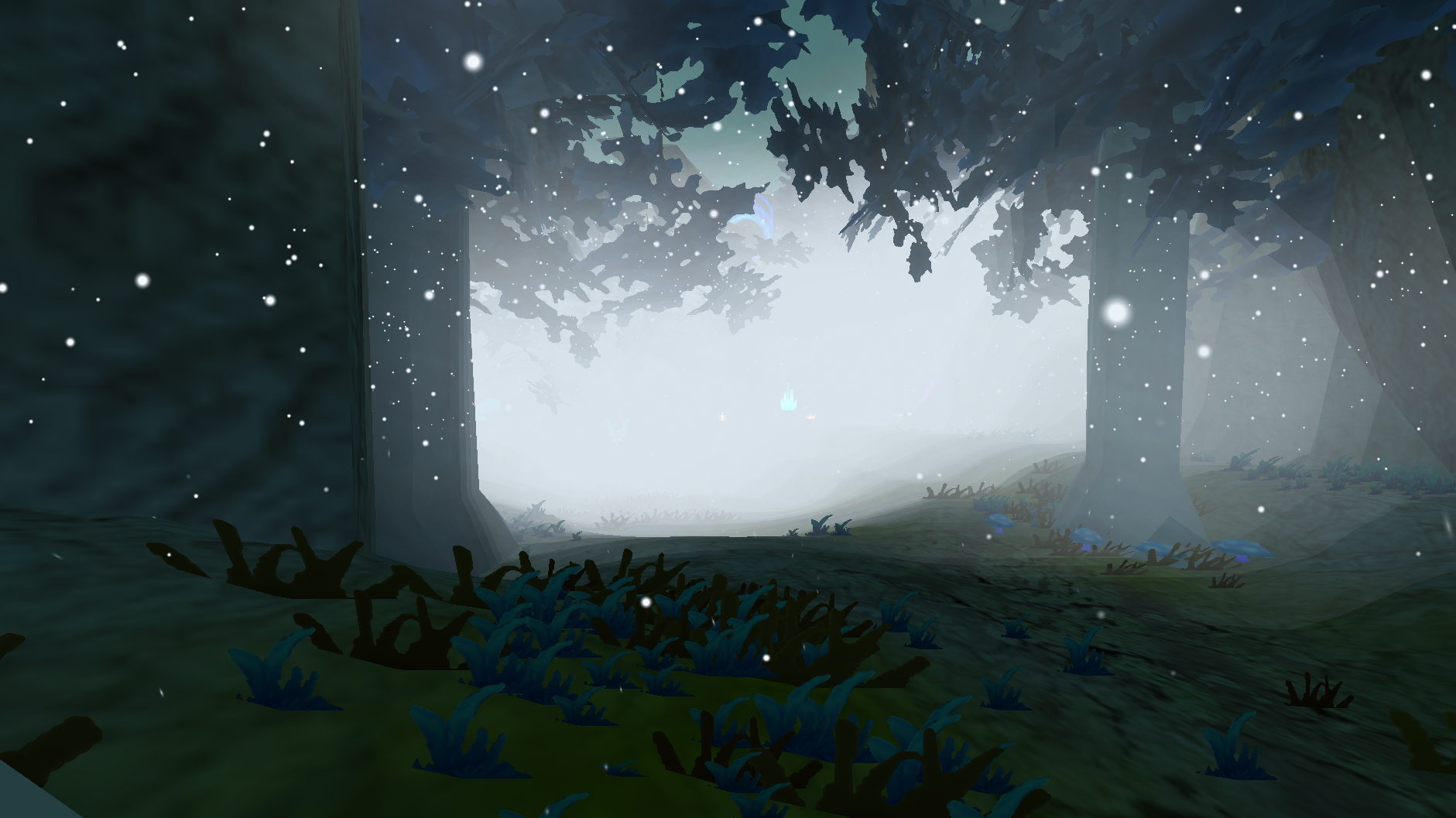 A winter night