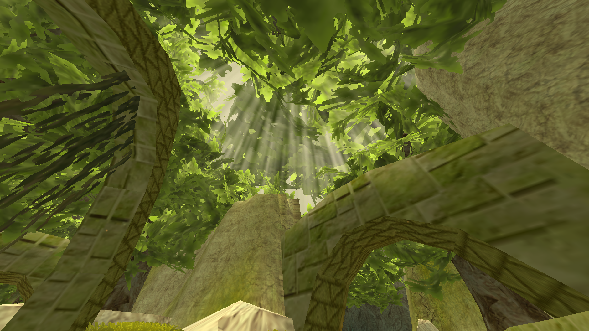 Summer light through the canopy
