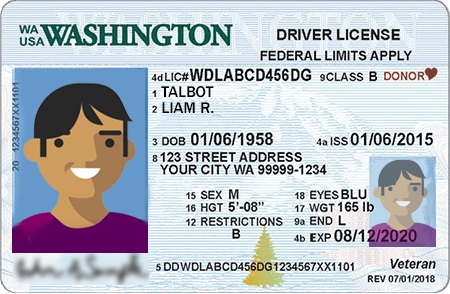 sample driver's license
