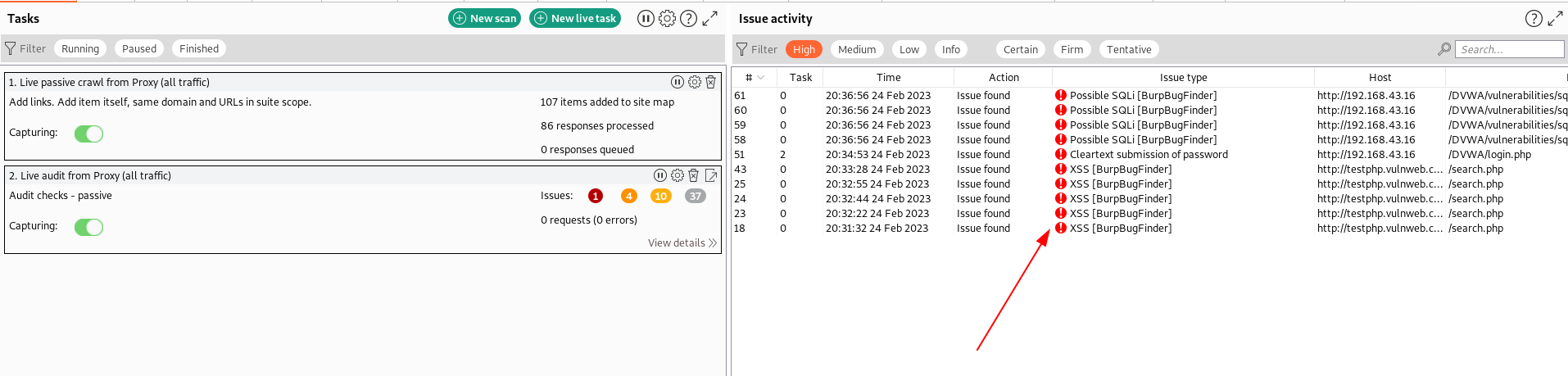 Issues summary from burp pro