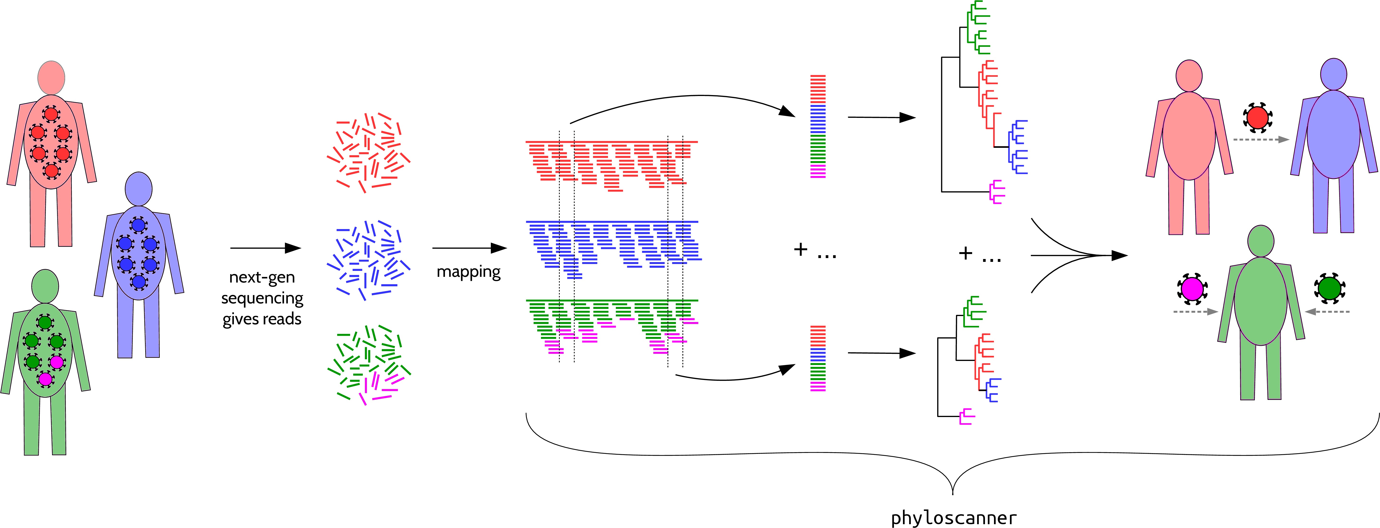 Phyloscanner