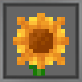 Fancy Sunflowers