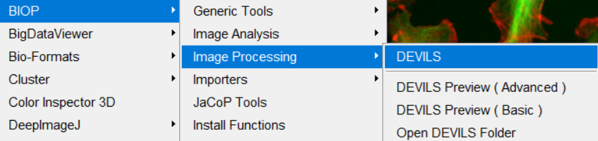 Accessing the DEVILS Commands