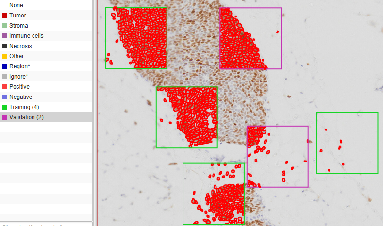 Example Annotations for Training