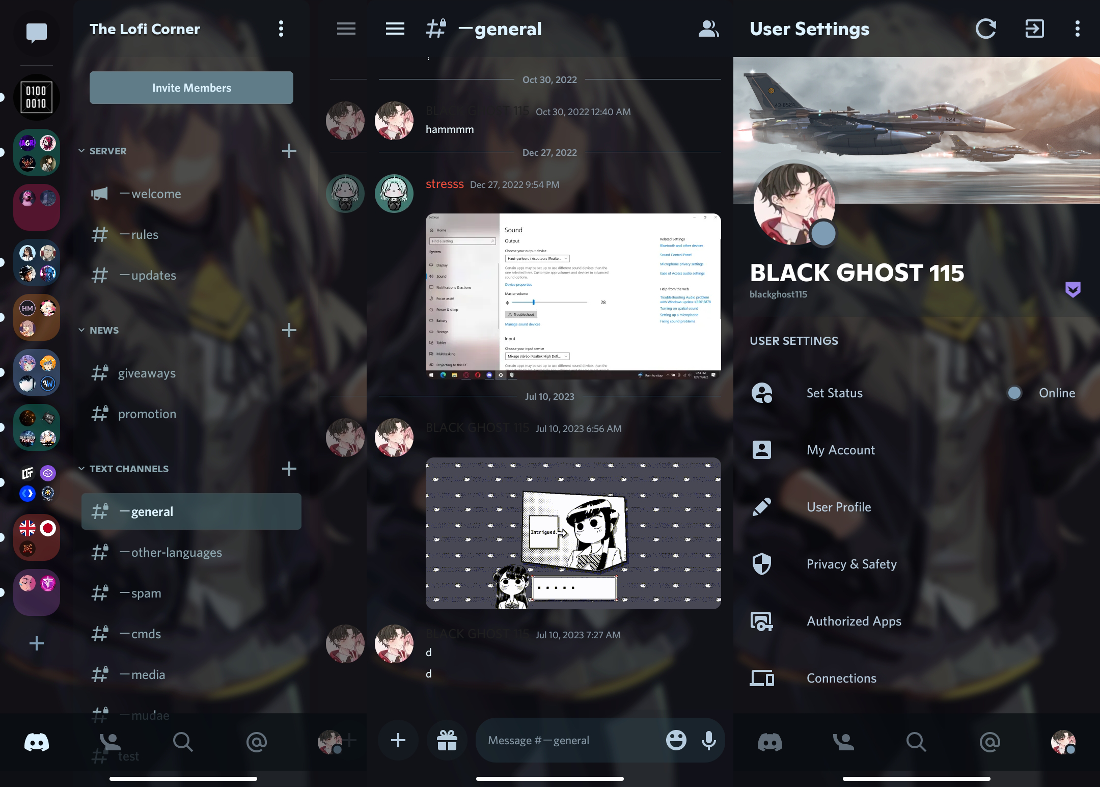 GitHub - BLACKGHOST115/ghost-themes-for-custom-discord