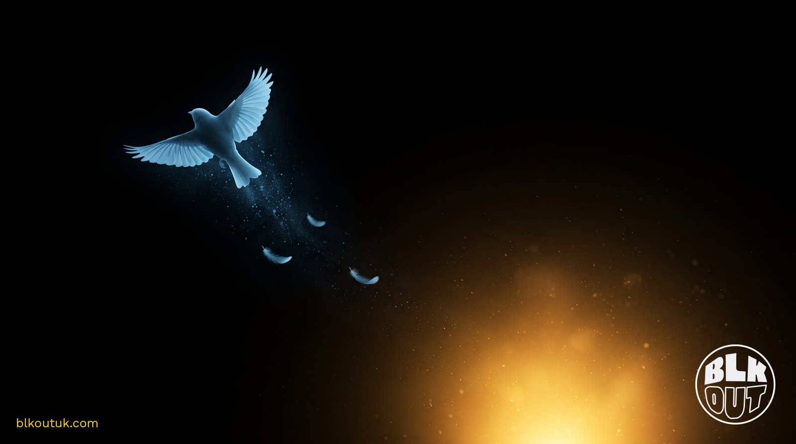 Making Space for Us: a decade of BLKOUT on Twitter