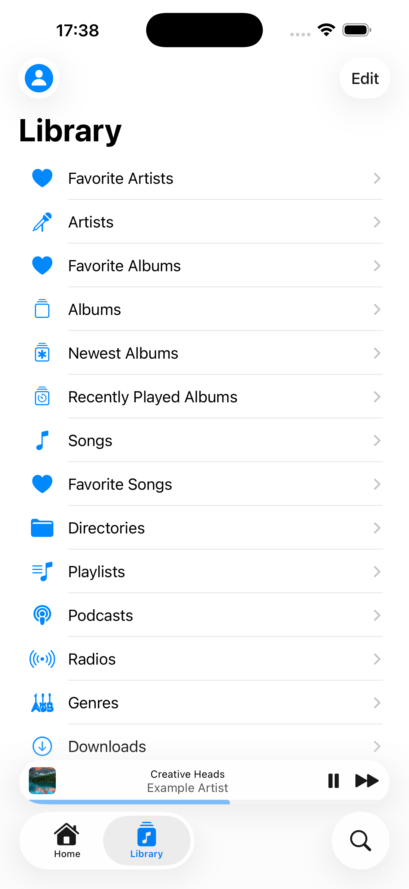 Screenshot of the Amperfy library view