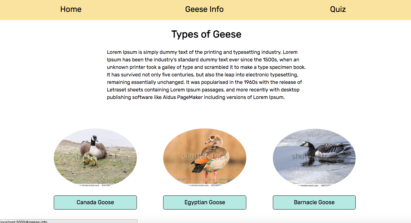 geese info page