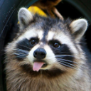 BLEH