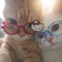 TWINS