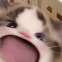 WAH