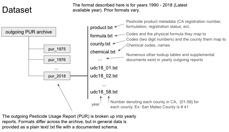 Dataset Structure