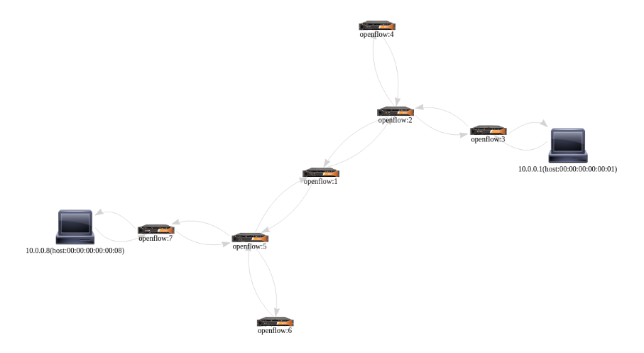 mininet path explorer topo