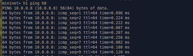 mininet ping succeed