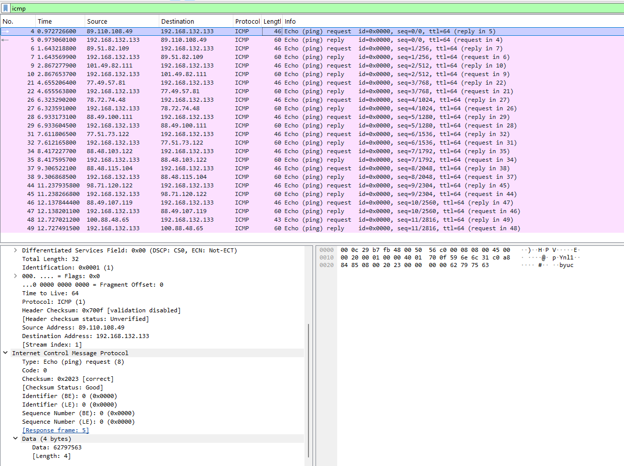 screenshot of the first ping packet