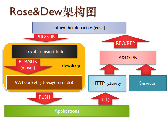 r&d_structure