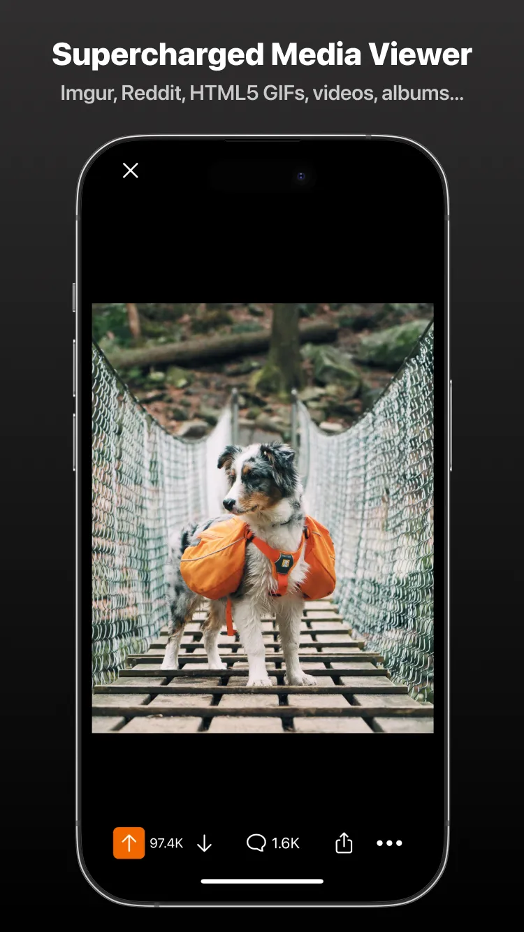 Screenshot 3 of Apollo for Reddit