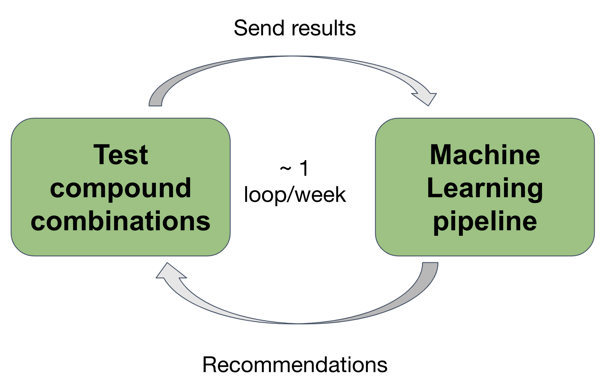 AI in the loop