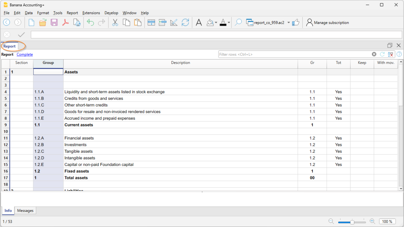 accounting report group column