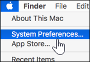 Open system preferences